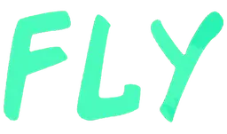 Fly