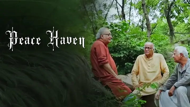 Peace Haven
