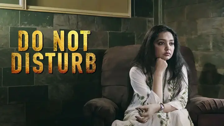 Do Not Disturb (Hindi)
